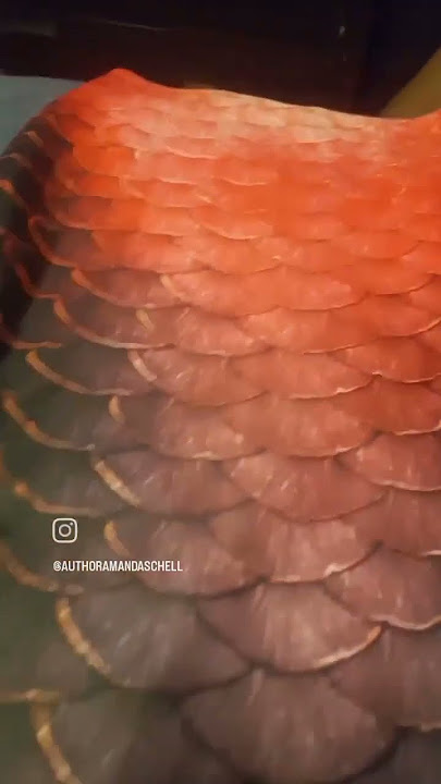 Unboxing A Mertailor FF1 Tail