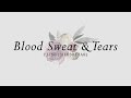 (Acoustic English Cover) BTS - Blood Sweat & Tears (피 땀 눈물) | Elise (Silv3rT3ar)