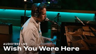 Video thumbnail of "Wish You Were Here - Dreams Like Dogs | Audiotree Live"