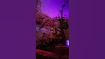 @elliotVR Wanna 1v1? #gorillatag #gorillatagjuke #gorillatagvr #gtag