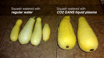 171st Knowledge Seekers Workshop, May 11, 2017 (Full ZOOM recording)