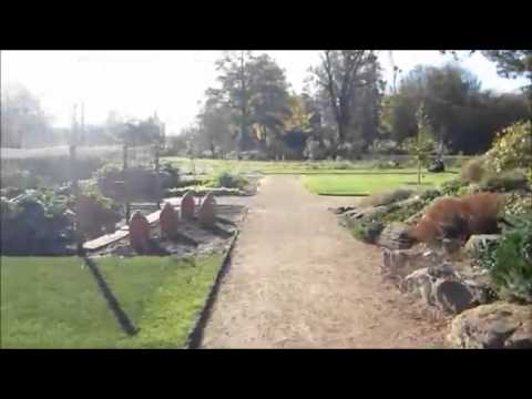 Oxford Botanic Garden The Lyra And Will Bench Youtube