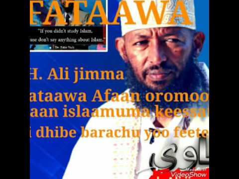 Shek Ali  jimma Fataawa Afaan oromoo July 29 2017