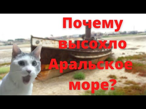 Причина высыхания Аральского моря.