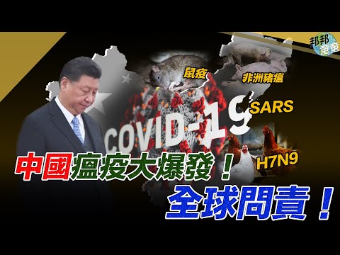 童温层：2020.04.30｜中国瘟疫大爆发！全球问责！｜邦邦童童看天下