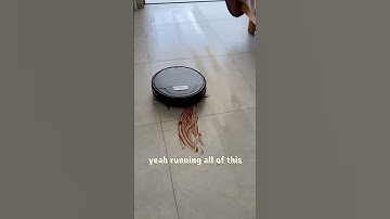 Affordable 3-in-1 robot vacuum & mop that cleans like a pro #robotvacuum