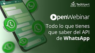 Todo lo que tienes que saber del API de WhatsApp Business