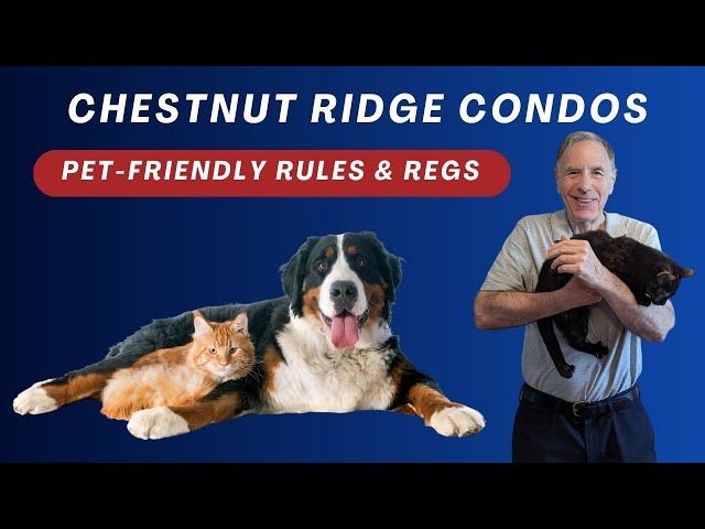 Chestnut Ridge Condos Franklin MA Pet Policy