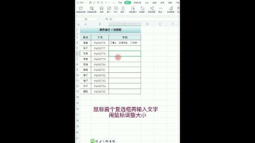 西姐Excel零基础教学 会打勾的按钮 @兰瑞员Excel办公教学
