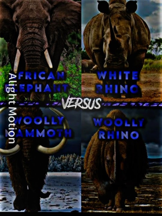 Woolly Mammoth vs African Elephant vs White Rhino vs Woolly rhino @MostlyGoofy