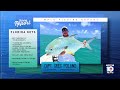 May 21: Local 10 Fishing Report