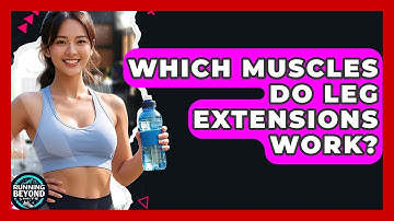 Which Muscles Do Leg Extensions Work? - Running Beyond Limits