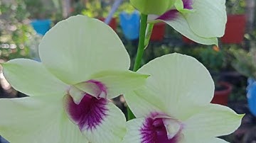 “Focus on being productive instead of busy.” – Tim Ferriss