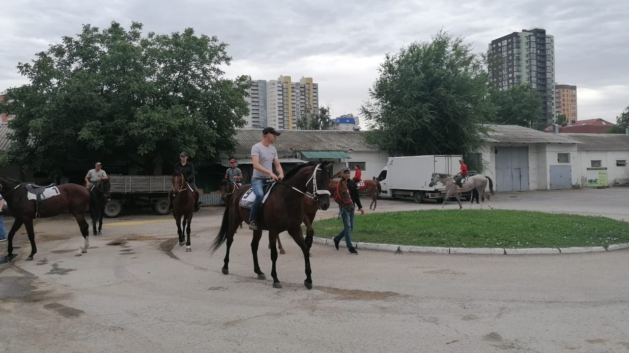Ипподром для машин