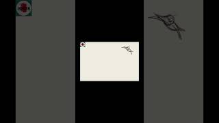 A SERIOUS BIRD #shorts #animation #penciltest #cartoon