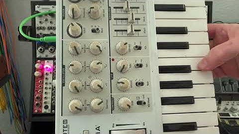 What are Gate & Pitch Signals? (Modular Synth 101 | Part 8)