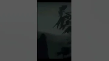 Everybody Dies In Their Nightmares Shorts Xxxtentacion Llj 