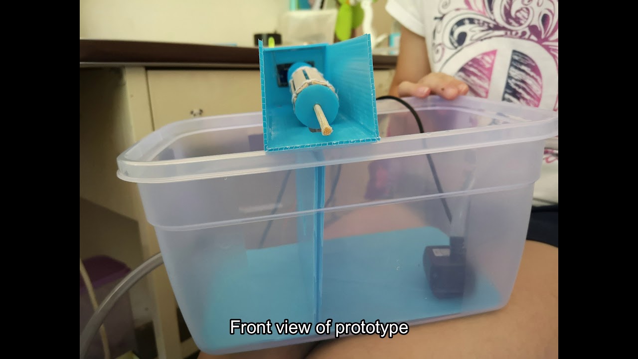 Automated Fish Grading System YouTube