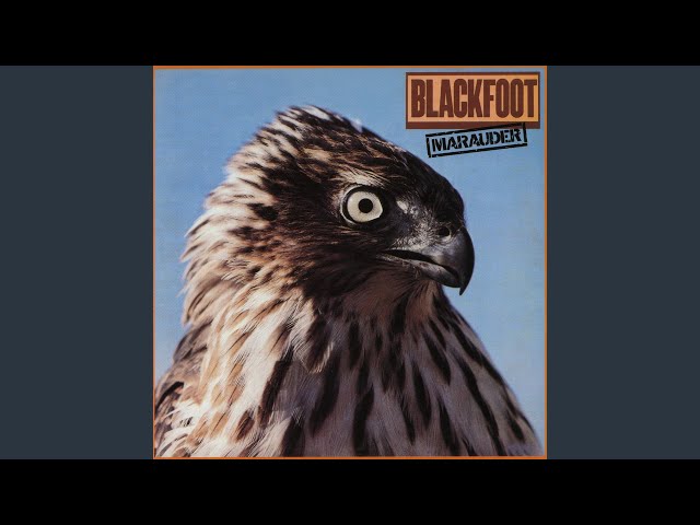 Blackfoot - Searchin'