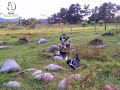 Gallinas gigantes y mejoradas en Colombia; Apoyen al canal, y suscribete; Es Gratis!!!!