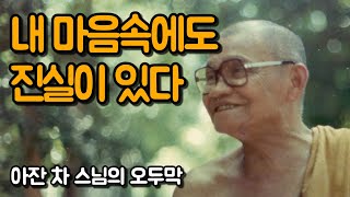 책을 읽고, 스승을 찾아도 이해할 수가 없다면 | 아잔 차 스님의 오두막
