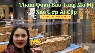 Tham Quan Bảo Tàng Ma Mị Xác Ướp Ai Cập ở Mỹ