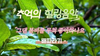 그댄 봄비를 무척 좋아하나요│배따라기│추억의 힐링음악(전곡, 가사포함)