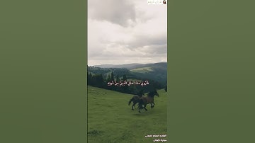 هذا خلق الله فأروني ماذا خلق الذين من دونه.      القارئ إسلام صبحي    #اسلام_صبحي #قرآن