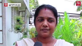 Farming In Home With Limited Space By Sheeja A Housewife From Perumpavoor Etv Bharat Kerala