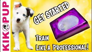 How to START training a PUPPY with a CLICKER screenshot 4