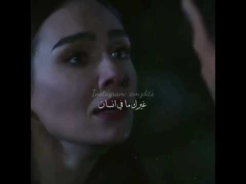 انت حبيبي وبالقلب غيرك ما في انسان حالات وتس 