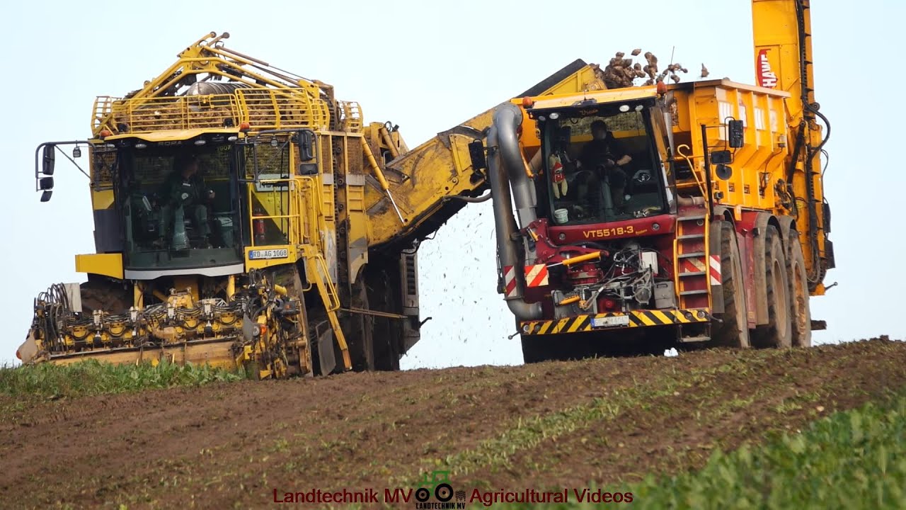 Ropa - Holmer - Vredo - Claas / Rübenernte - Harvesting Beets