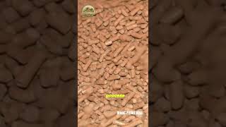 Watch Out for These Appliance Killing 'Clinkers' #shorts #woodpellets #biomassenergy #pelletgrill