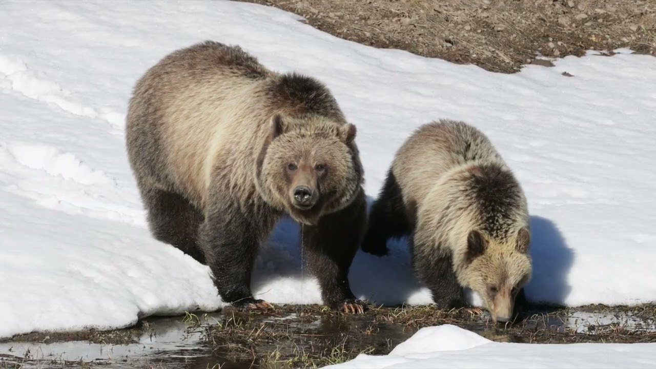 Power up 1 Unit 6 A day out