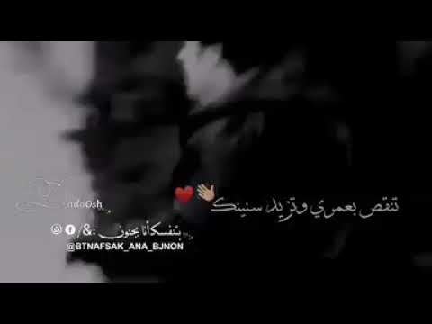 ابو عيون ستوري واتس اب اغنيةة يا ولفي وينك تخبللل انصحك بالمشاهدة