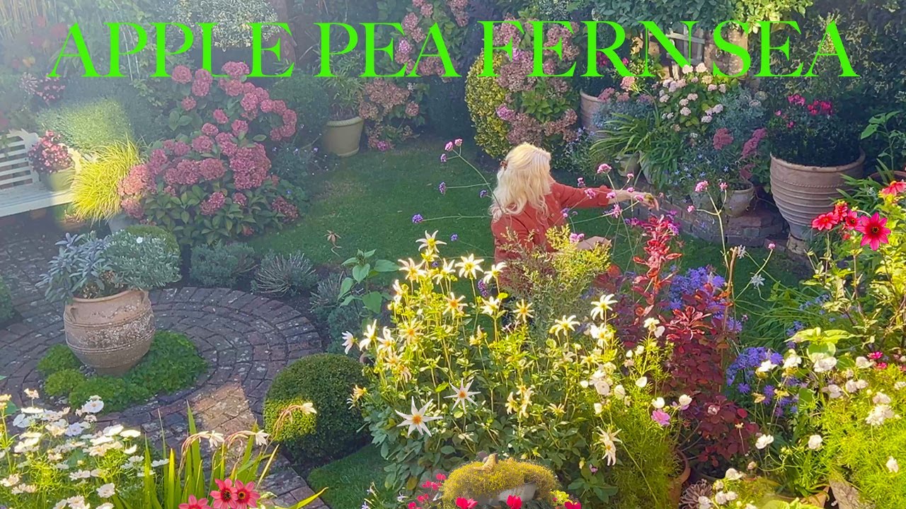 Сентябрьский тур по саду в небольшом пространстве: романтика и сияющая красота в нашей контейнерн...