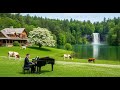 50- Beautiful Relaxing Classical Music for the Soul🌿 Beethoven, Chopin, Bach, Mozart, Debussy