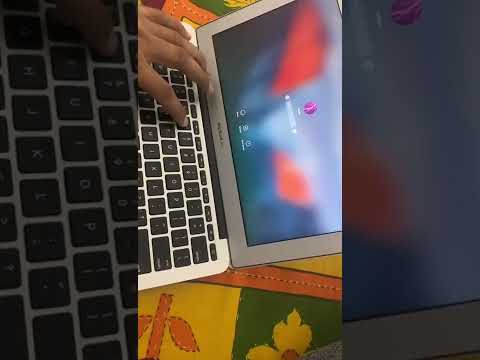 Apple Laptop not
