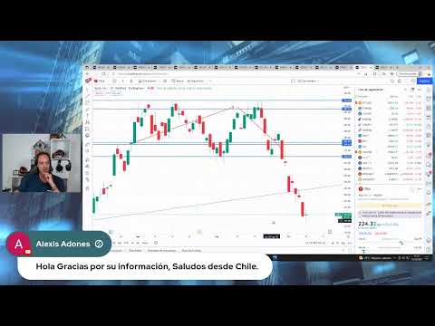 Analizamos los datos de Tesla y Ford GM con Gabriel Montalto