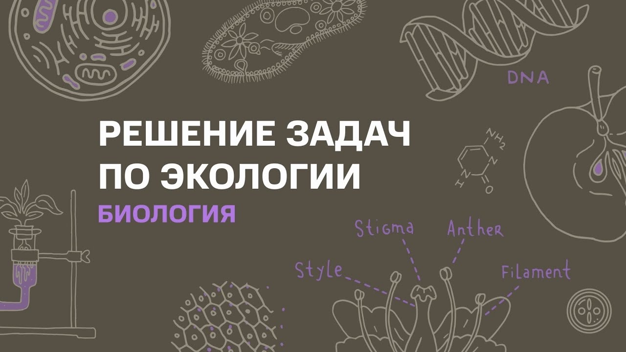 Смотреть видео