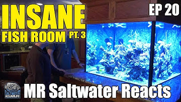 INSANE Saltwater Aquarium Fish Room Tour, PART 3 - Mr. Saltwater Reacts