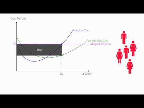 Video: Kaip apskaičiuoti neekonominę žalą?
