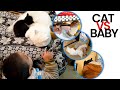 Funniest Moments Baby vs Cats 🐈 | Baby First Time Meet Cat 🤣🤣