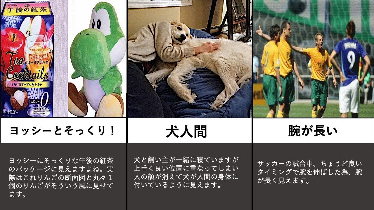 錯覚 最初に見た時騙される奇跡の画像集 Youtube 錯覚 最初に見た時騙される奇跡の画像集 Youtube