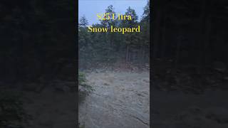 S25 Ultra Snow Leopard