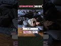 우정 캐처? 골드 캐처? 모르겠고 일단 장난 GO! 🤩 #shorts #투모로우바이투게더 #TOMORROW_X_TOGETHER #TXT #TODO