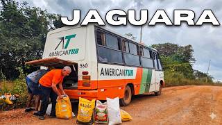 DIA DE PAGAMENTO! O Marcopolo Senior 1983 lotado na linha de Jaguara