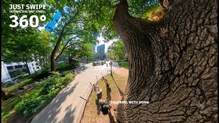 360° - Squirrel at Madison Square Park, NYC_