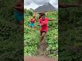 #contentcreator #trendingshorts #comedy #dance #funnyshorts #reggae #music #nostalgia #amapianotv