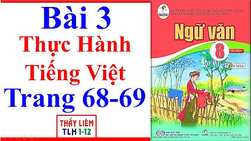 Ngữ Văn 8 Bài 3 | Thực Hành Tiếng Việt | Trang 68 – 69 | Cánh Diều